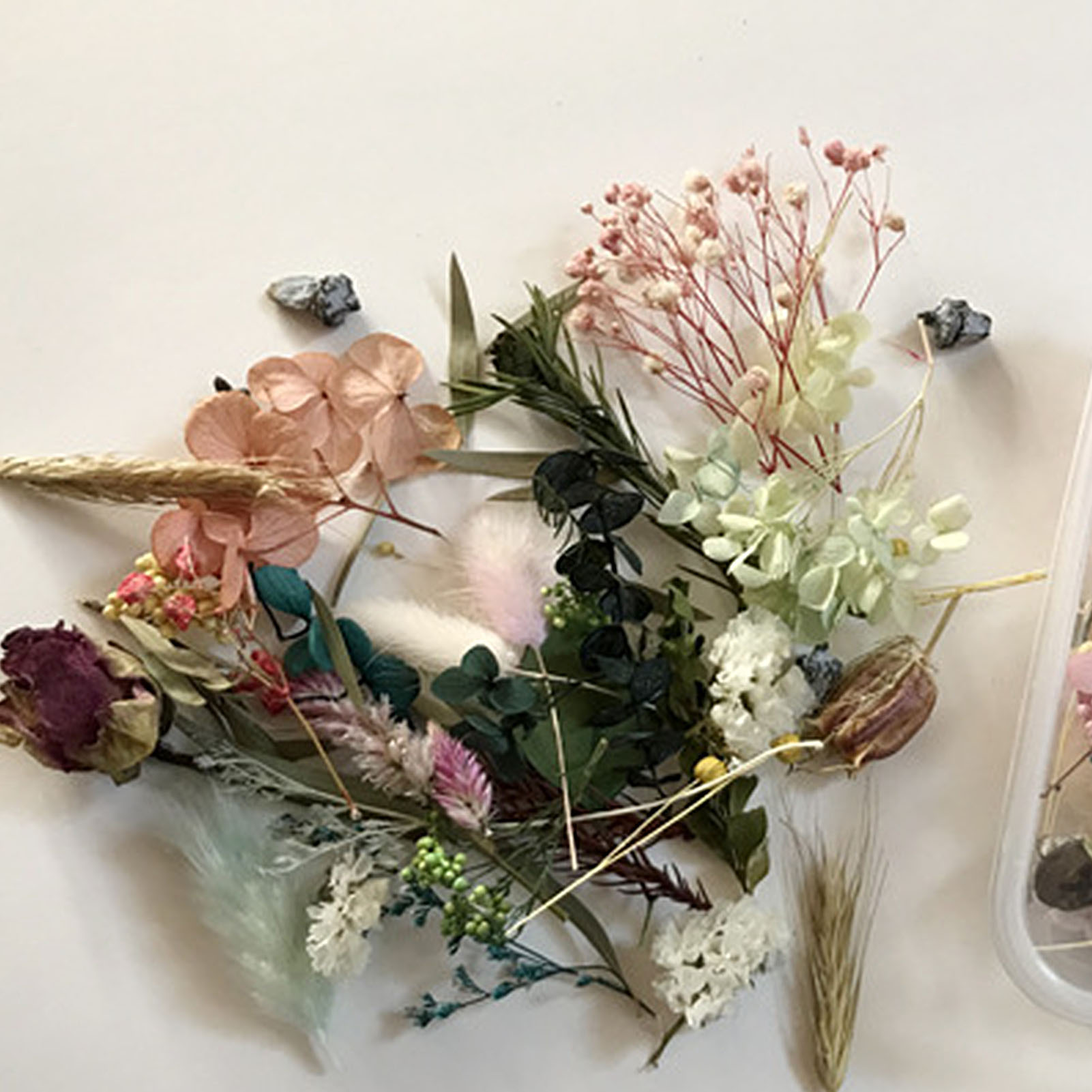 مجموعة الزهور المجففة الطبيعية - مراجعة Candle Making Kits وسعره